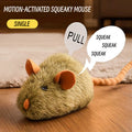 Chit chatter mouse for CATs