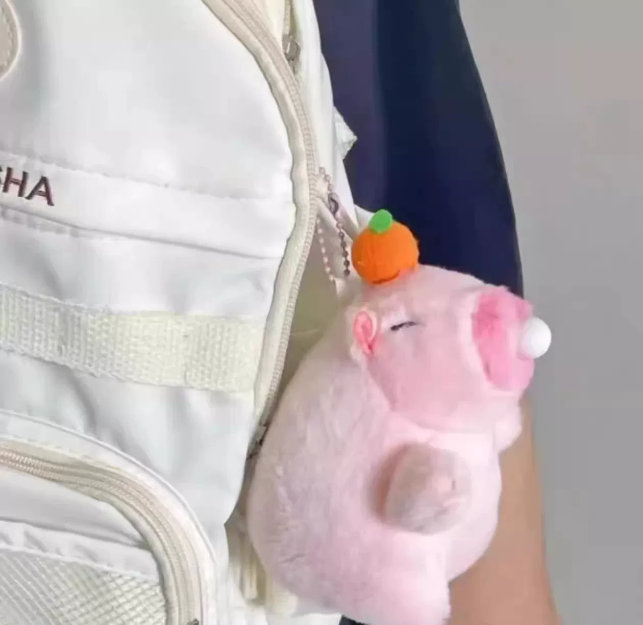 Cute capybara plush toys