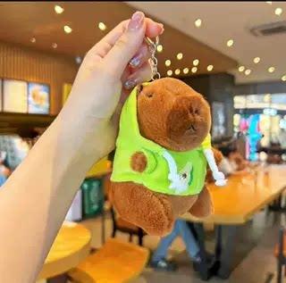 Cute capybara plush toys