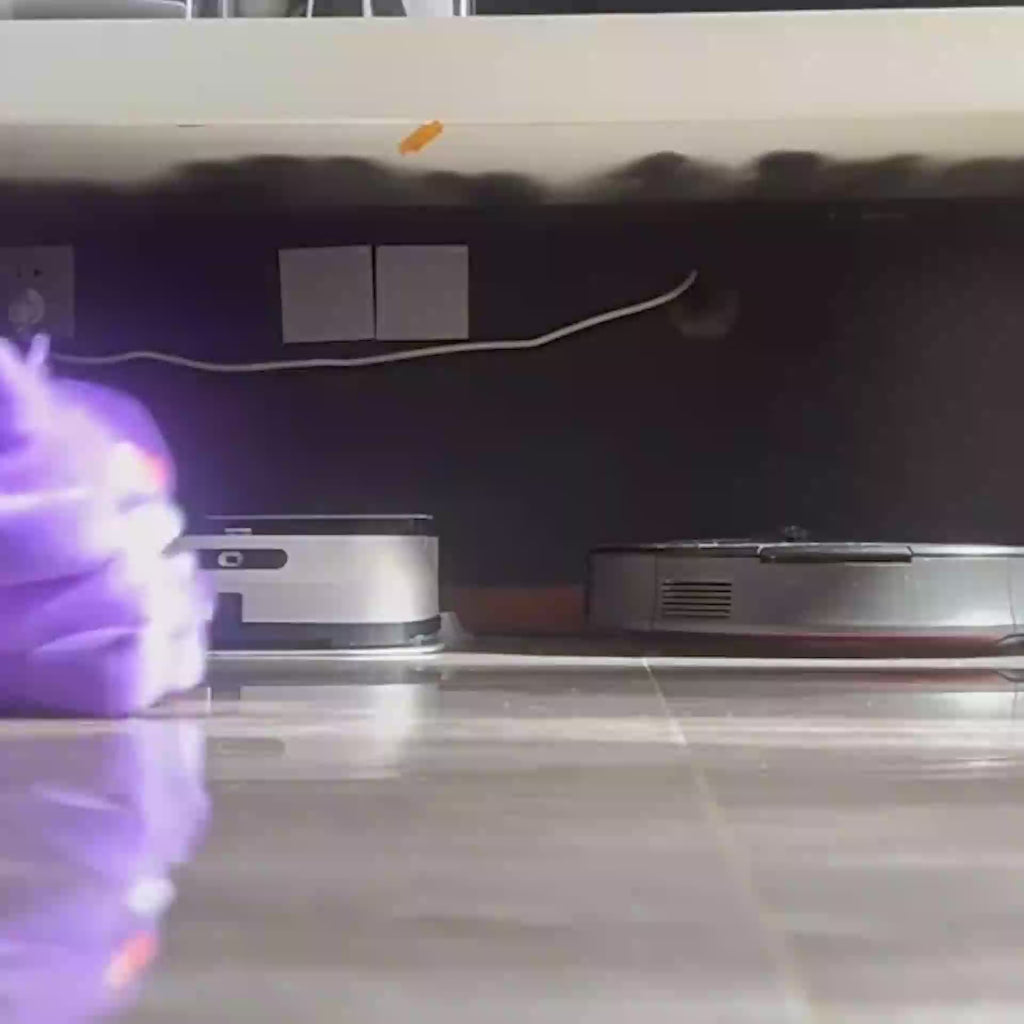 Gengar Funny Slippers
